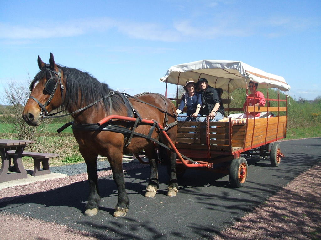 Campsite Ecuries Leseigneur - Insolites