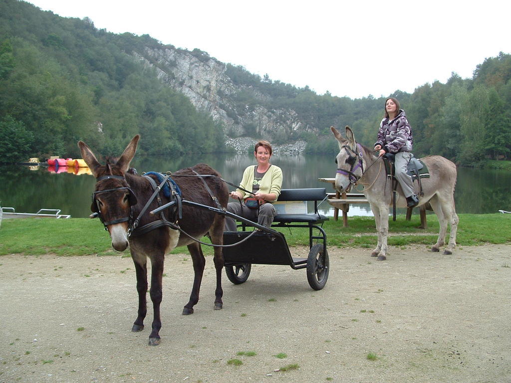 Campsite Ecuries Leseigneur - Insolites